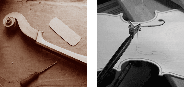 Neue Violine in unserem Atelier — Decke, Boden und Schnecke