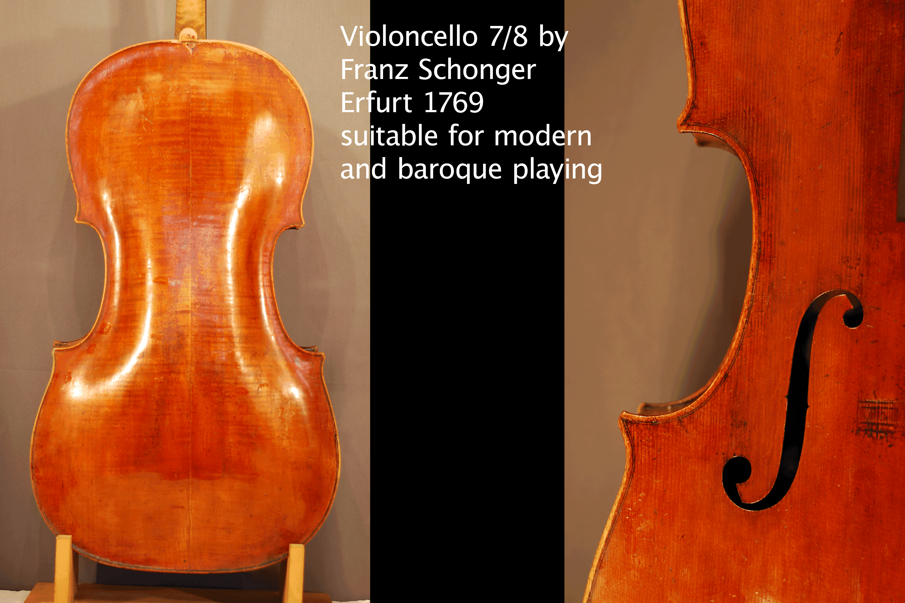 Violoncello Dietrich Reutterer — Detailaufnahme