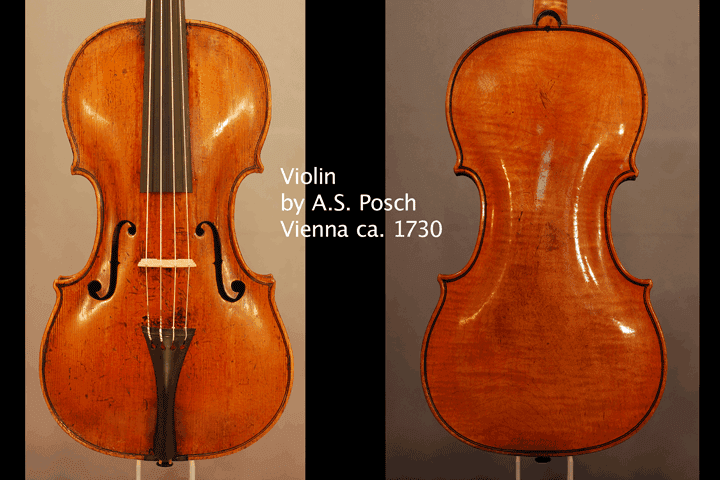 Violine Anton Stefan Posch — Decke und Boden